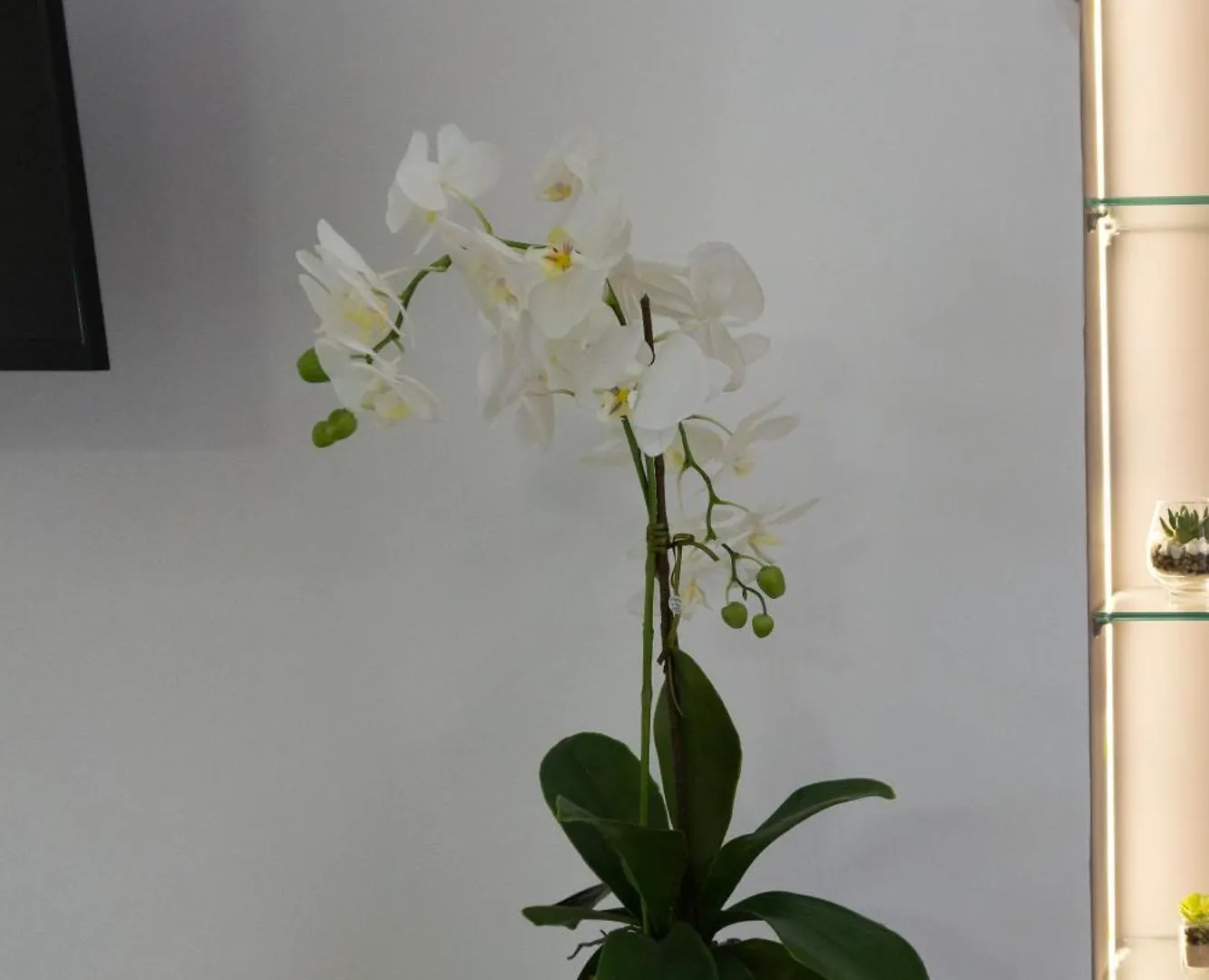 Apartamento L'Orchidea Al Museo Appartamento In Centro Nápoles Itália